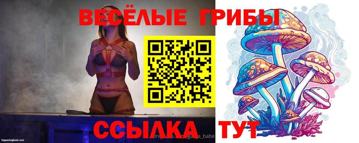 Галлюциногенные грибы MAGIC MUSHROOMS  Вход с VPN  Галлюциногенные грибы ЛСД  Сланцы 