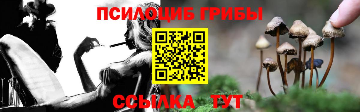 Галлюциногенные грибы мухоморы Сланцы